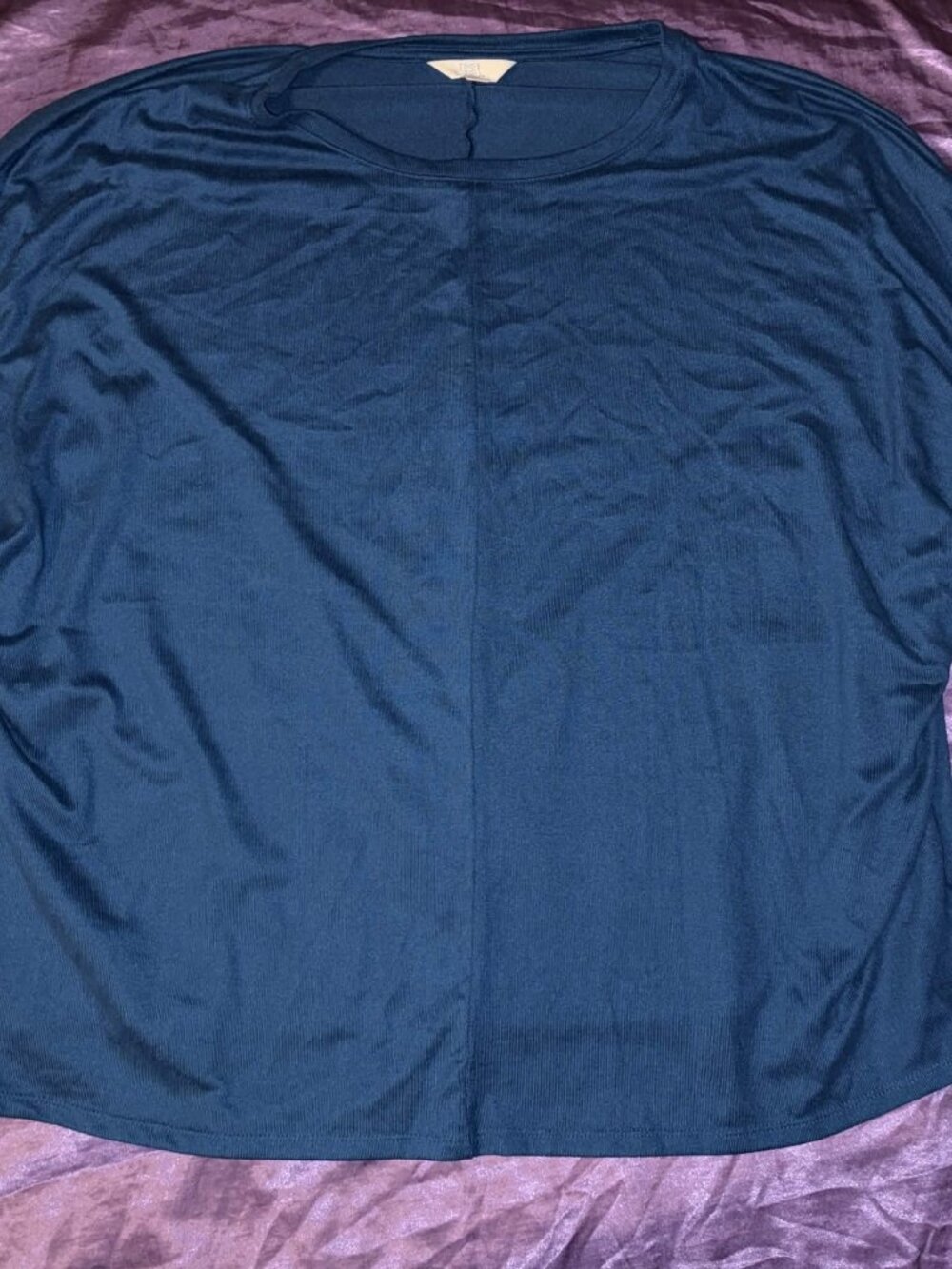 Time and Tru Blue Sweater XXL 22 Long Sleeve Crew Neck Plus Size